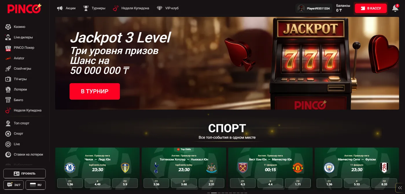 Служба поддержки в Пинко